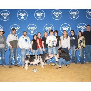 Meet your Posher, Tucker